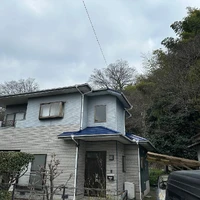 画像262