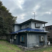 画像263